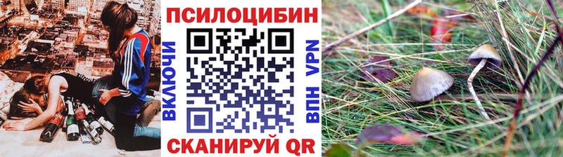 Псилоцибиновые грибы MAGIC MUSHROOMS  наркошоп  Шимановск 